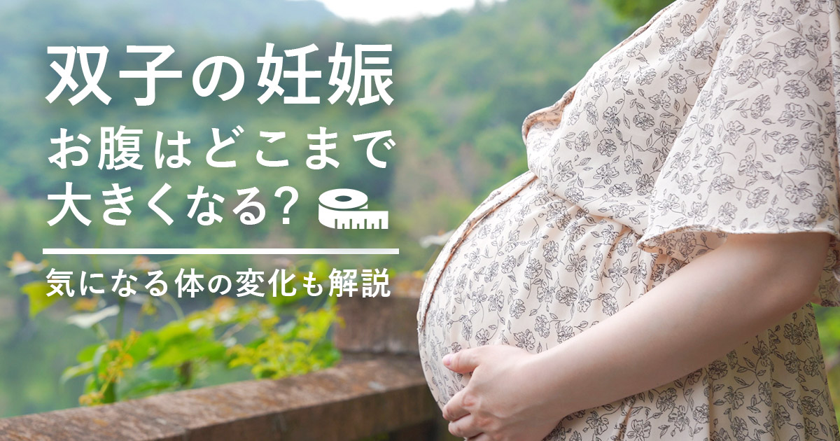 双子の妊娠 お腹はどこまで大きくなる 1mを超える 幸せの白い鳥ブログ 双子の妊娠 お腹はどこまで大きくなる 1mを超える 幸せの白い鳥ブログ